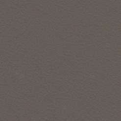 Nuance 2454 Fawn Fabric
