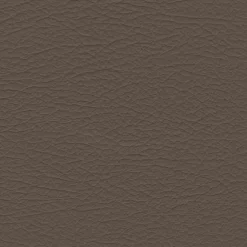 Nuance 2463 Med. Neutral Fabric
