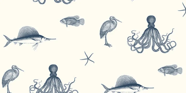 Oceania Navy Sea Creature Wallpaper