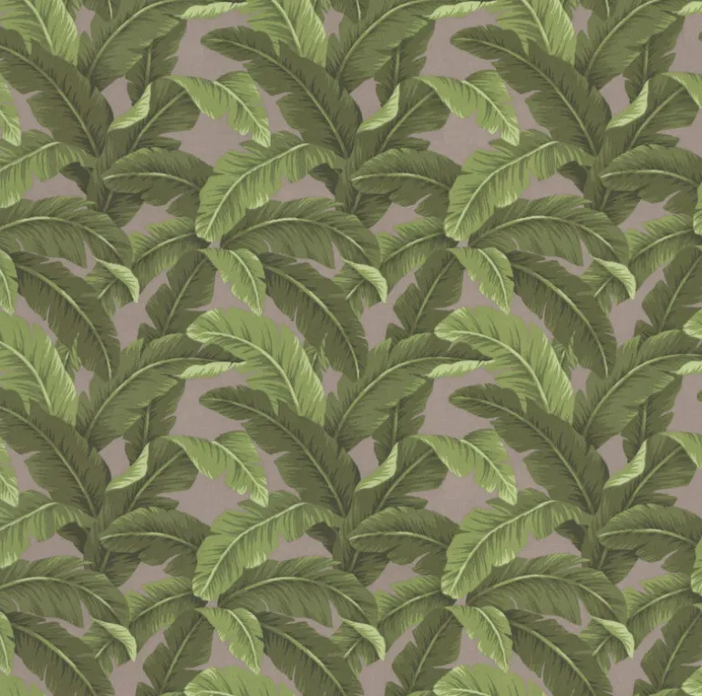 OD Belize Fawn Tempo Fabric
