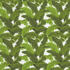OD Belize White Tempo Fabric