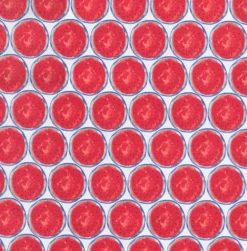 OD One In A Melon Summer Tempo Fabric