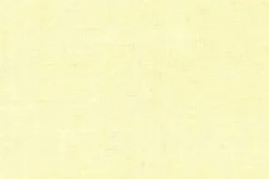 Old Country Linen Eggshell Swavelle Mill Creek Fabric