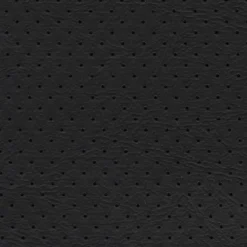 Orion 1612 Ebony Fabric