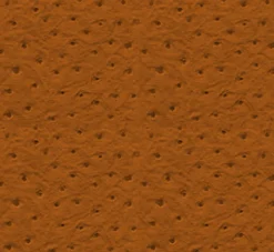 Ostrich 91 Carmel Fabric