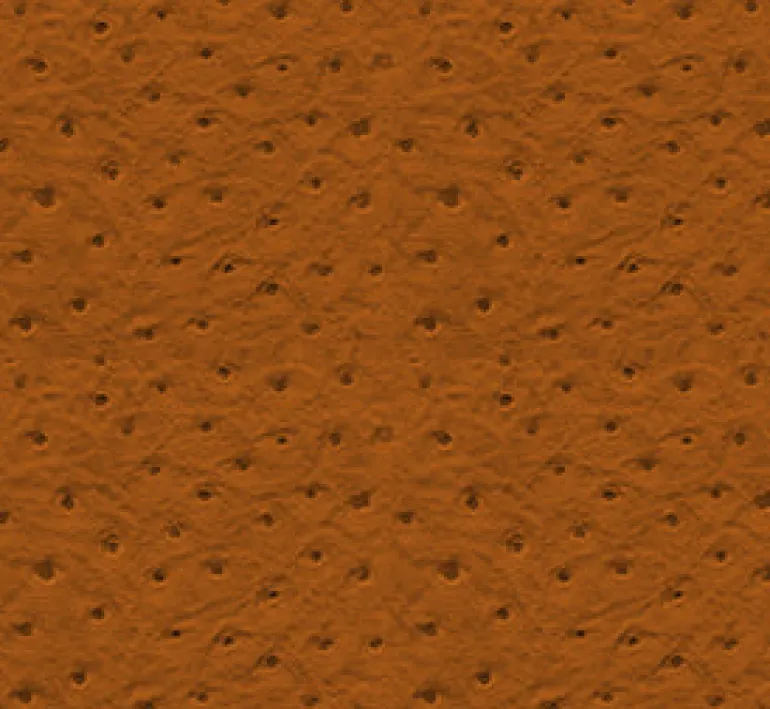Ostrich 91 Carmel Fabric