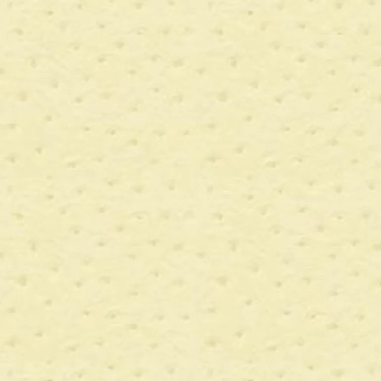 Ostrich 66 Moonbeam Fabric
