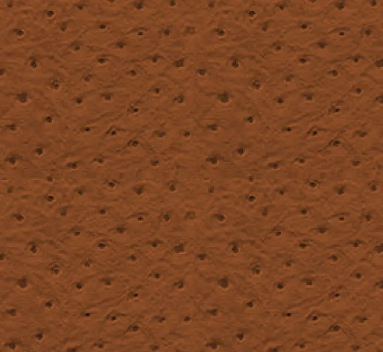 Ostrich 84 Rawhide Fabric