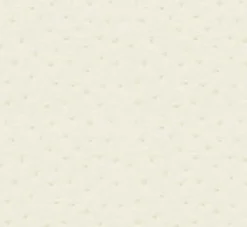 Ostrich 61 White Fabric