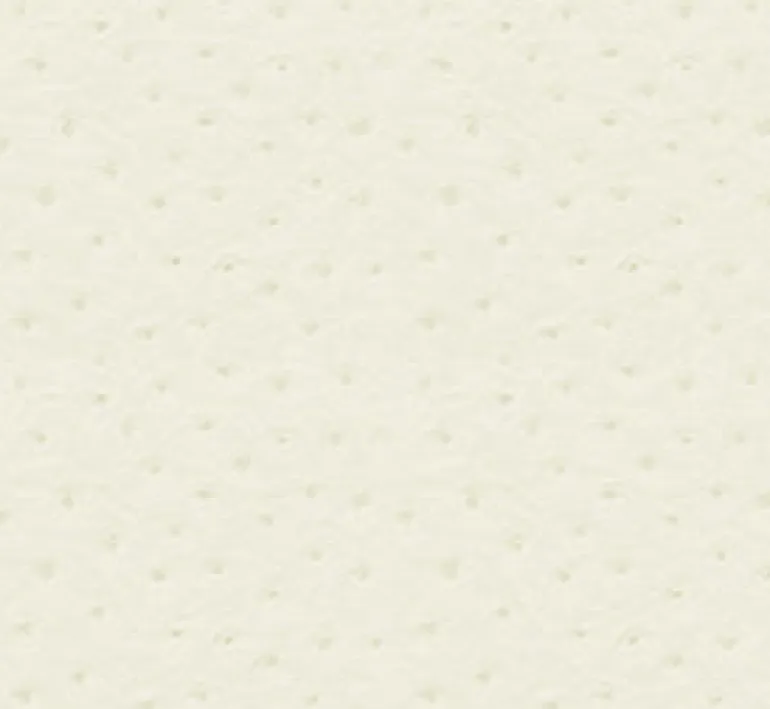 Ostrich 61 White Fabric