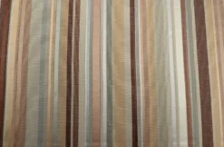 Paris Brown Eyes Edgar Fabric