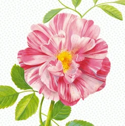 Peony Wall Mural