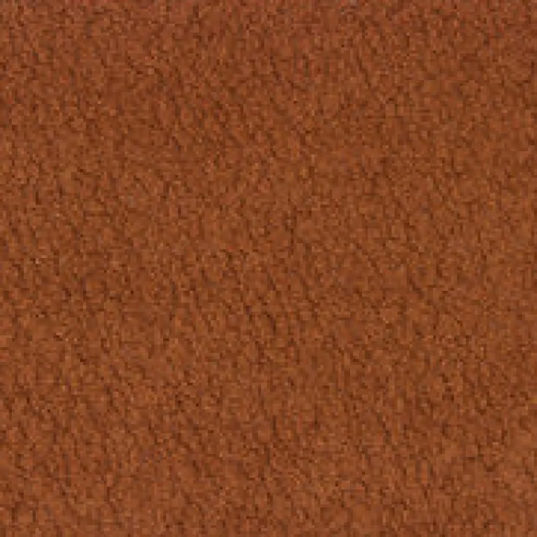 Popcorn Saddle Richloom Fabric