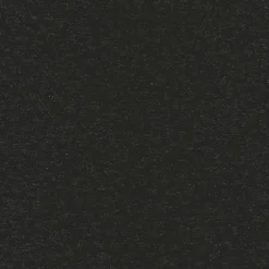 Pounce Charcoal Regal Fabric