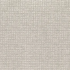 Protocol Dove Regal Fabric