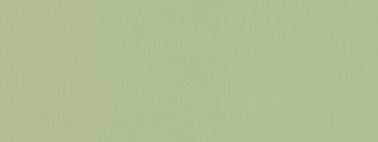 Quilty Pleasures 20 Mint Covington Fabric