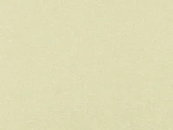 Radiance Champagne Covington Fabric