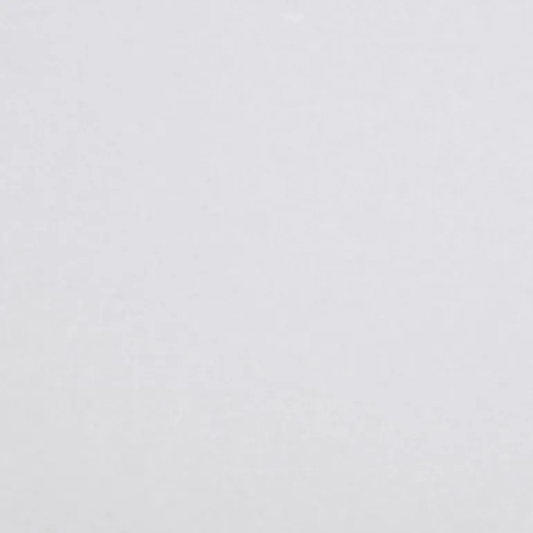 437-RD5000 Papyrus Paintable Armadillo