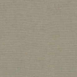 Reba 409113 Taupe PKL Studio Fabric