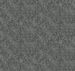 RI5111 White/Black Champagne Dots Wallpaper
