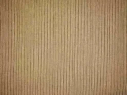 Rib Pinstripe Pale Khaki Laura Kiran Fabric