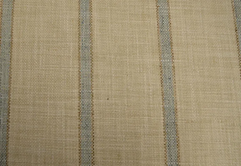 Run Around Lagoon P Kaufmann Fabric