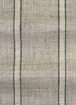 Run Around Thunder P Kaufmann Fabric