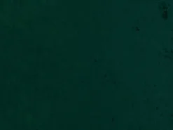 Saxony 207 Evergreen Covington Fabric