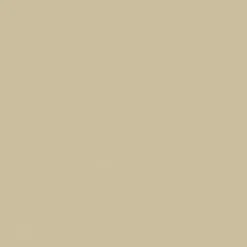 Sealskin 68 Parchment Fabric
