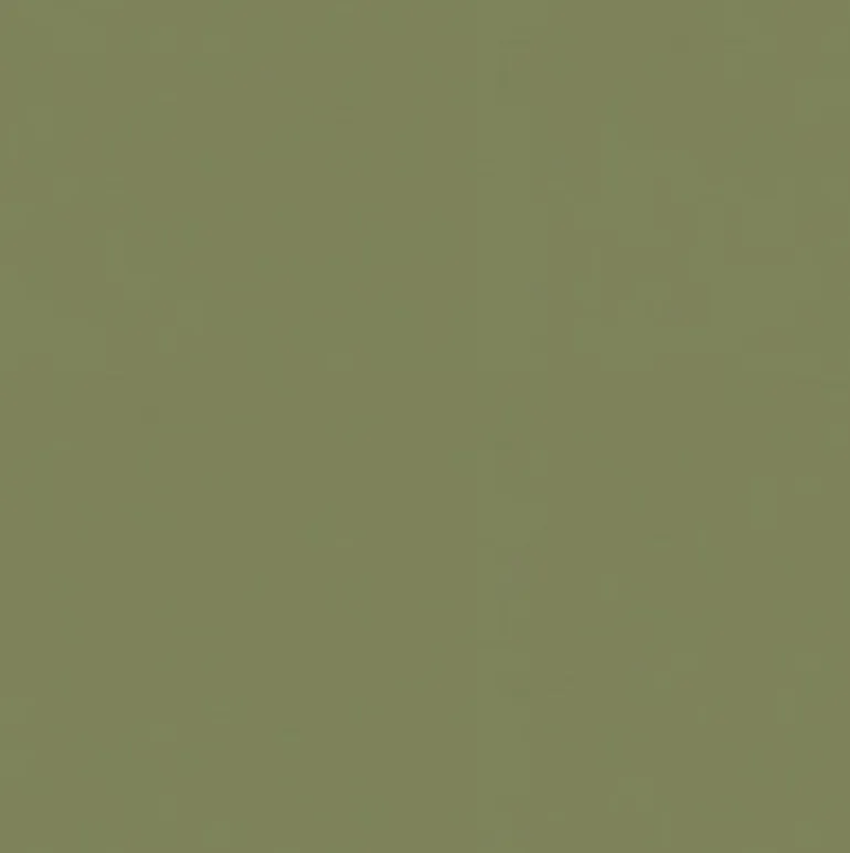 Sealskin 202 Sage Fabric