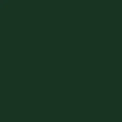 Sealskin 2009 Yew Green Fabric