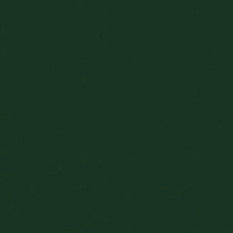Sealskin 2009 Yew Green Fabric