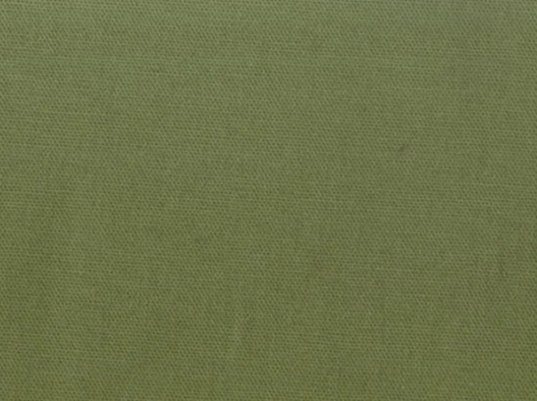 Spinnaker Fern Covington Fabric