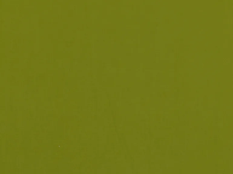 Spinnaker Leaf Covington Fabric