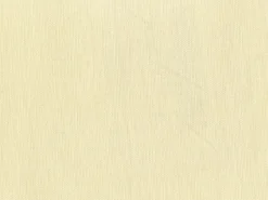 Spinnaker Oyster Covington Fabric