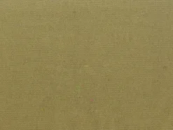 Spinnaker Pear Covington Fabric