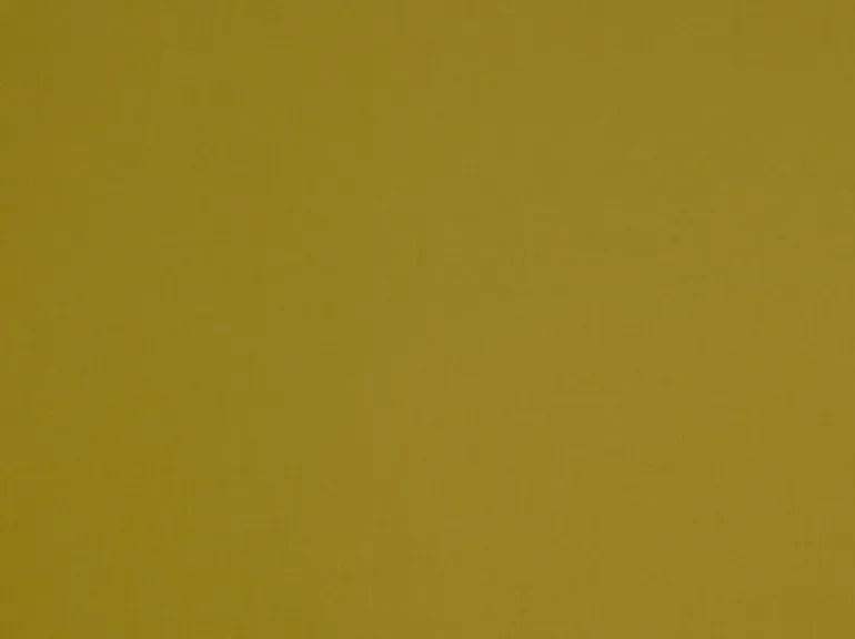 Spinnaker Peat Moss Covington Fabric