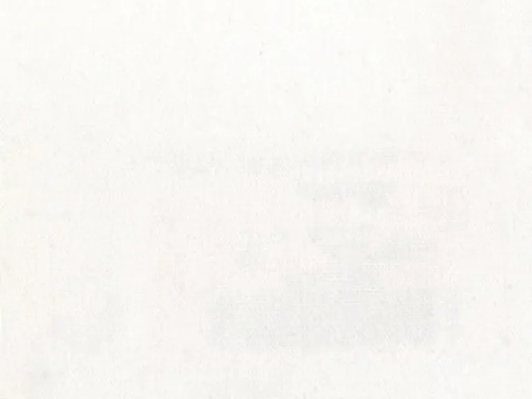 Spinnaker White Covington Fabric