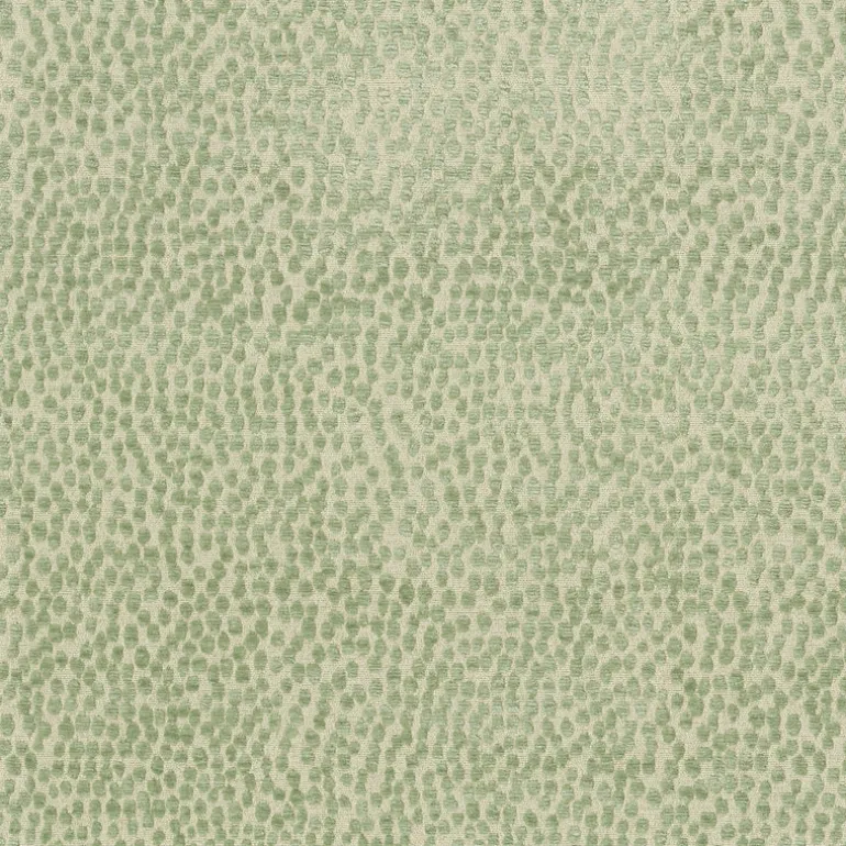 Spotty Dotty Meadow P/K Lifestyles Fabric