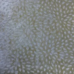 Sun Vanilla Europatex Fabric