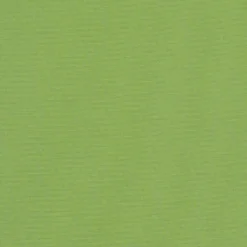 Sunbr Furn Solid Canvas 54011 Gingko Fabric