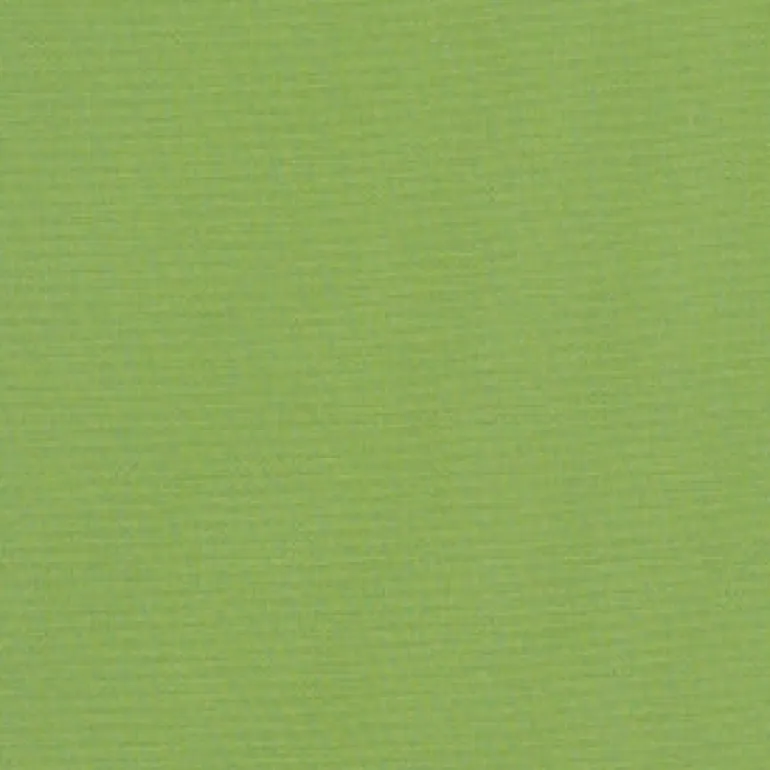Sunbr Furn Solid Canvas 54011 Gingko Fabric