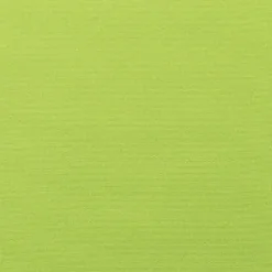 Sunbr Furn Solid Canvas 5429 Macaw Fabric