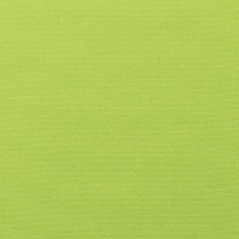 Sunbr Furn Solid Canvas 5429 Macaw Fabric