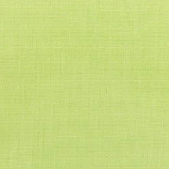 Sunbr Furn Solid Canvas 5405 Parrot Fabric
