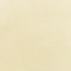Sunbr Furn Solid Canvas 5498 Vellum Fabric