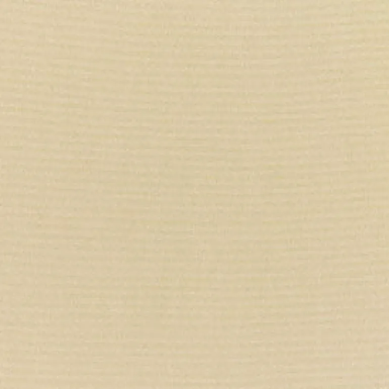 Sunbr Furn Solid Canvas 5422 Antique Beige Fabric