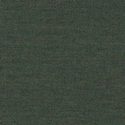 Sunbr Furn Solid Canvas 5487 Fern Fabric