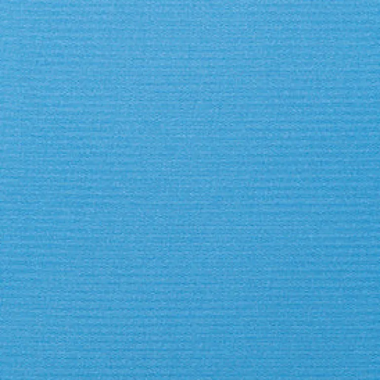 Sunbr Furn Solid Canvas 5426 Capri Fabric