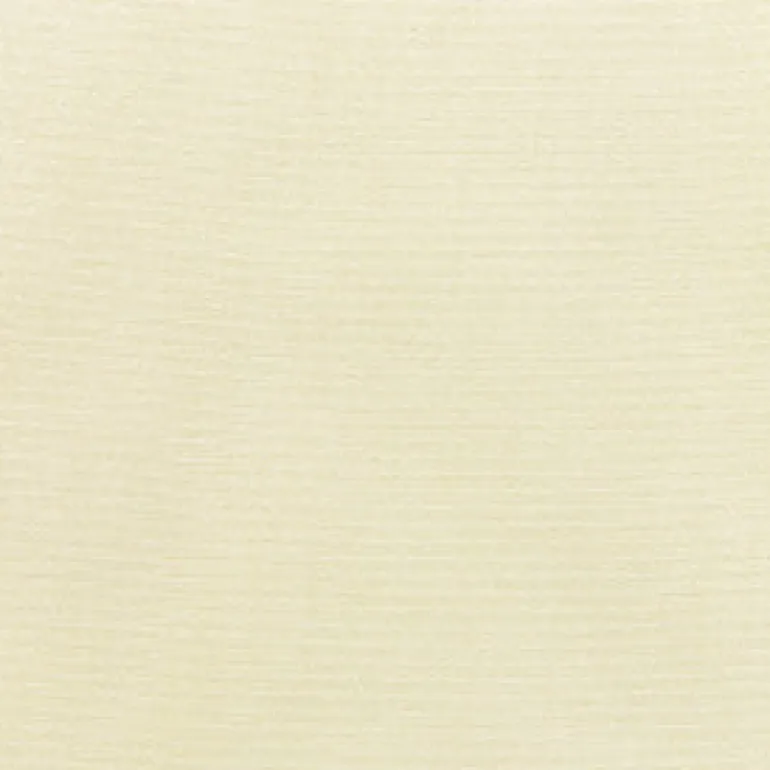 Sunbr Furn Solid Canvas 5453 Canvas Fabric